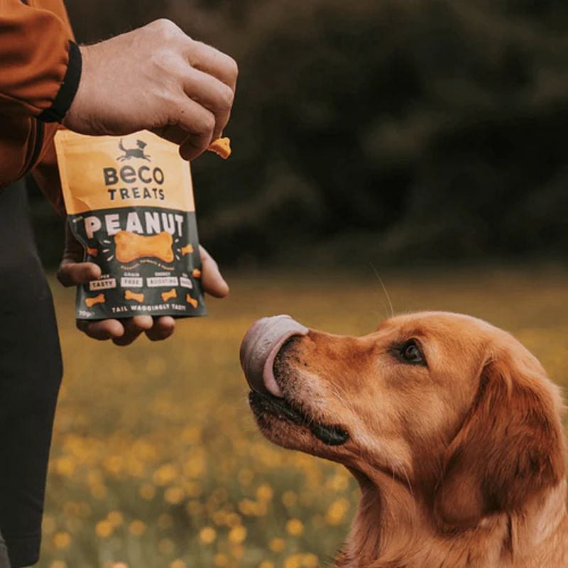 Beco Treats Peanut with Coconut & Turmeric 1 x 70 gram Hond