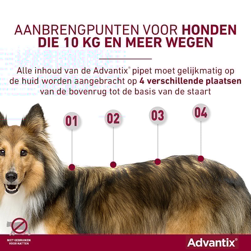 Advantix Spot-on Hond 4 pipetten - 40 - 60 kg - 600/3000