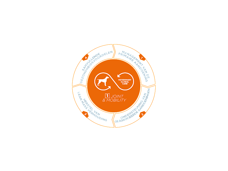 HPM Dog Joint & Mobility