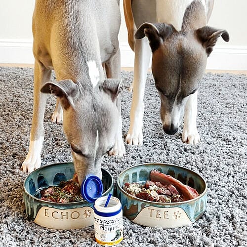 ProDen PlaqueOff Poeder Hond 60 gram