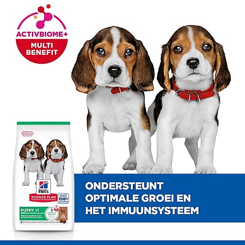 hondenvoer, pup, voerzak, beagle, dog food