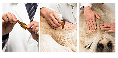 Dermoscent Atop 7 Spot-on 0 - 10 kg 4 pipetten