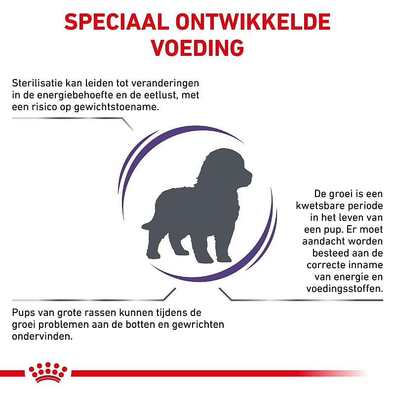 Royal Canin Neutered Junior Large Dog 12 kg