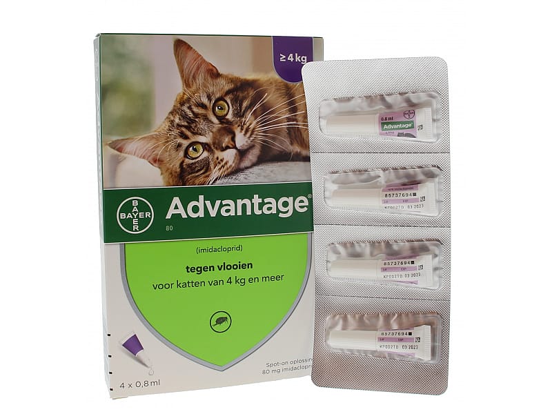 Advantage Spot-on Kat 80 mg