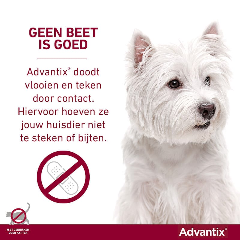 Advantix Spot-on Hond 24 pipetten - 10 - 25 kg - 250/1250