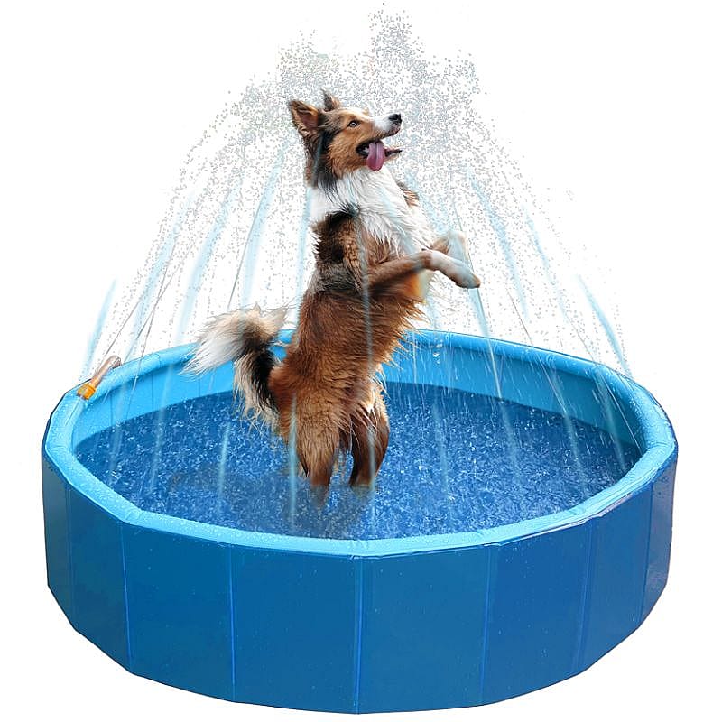 Coolpets Splash Sprinkler Pool Zwembad Hond