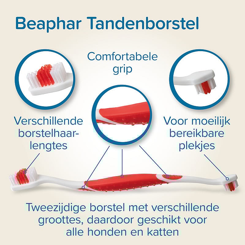 Beaphar Tandpasta en Tandenborstel 1 set