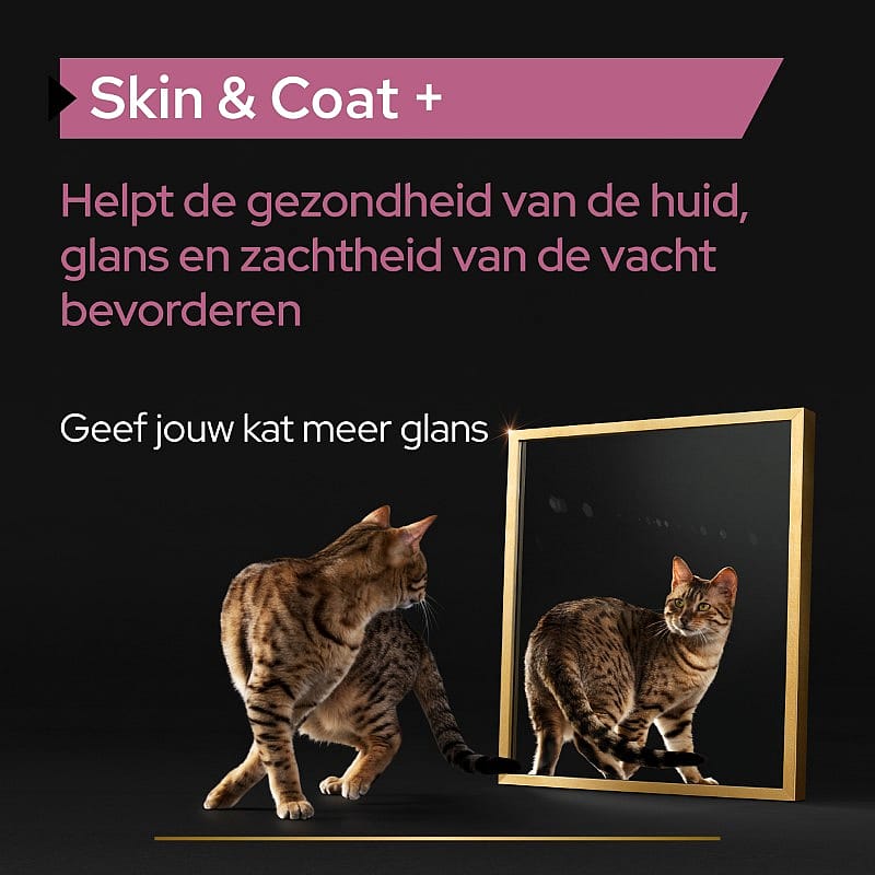 Purina Pro Plan Skin & Coat+ Supplement Kat 150 ml