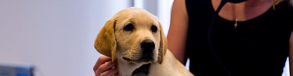 131046ed9a8111886d72c0ab476ec713