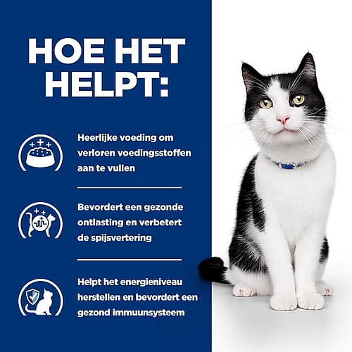 Hill's Prescription Diet ID Digestive Care Kattenvoer