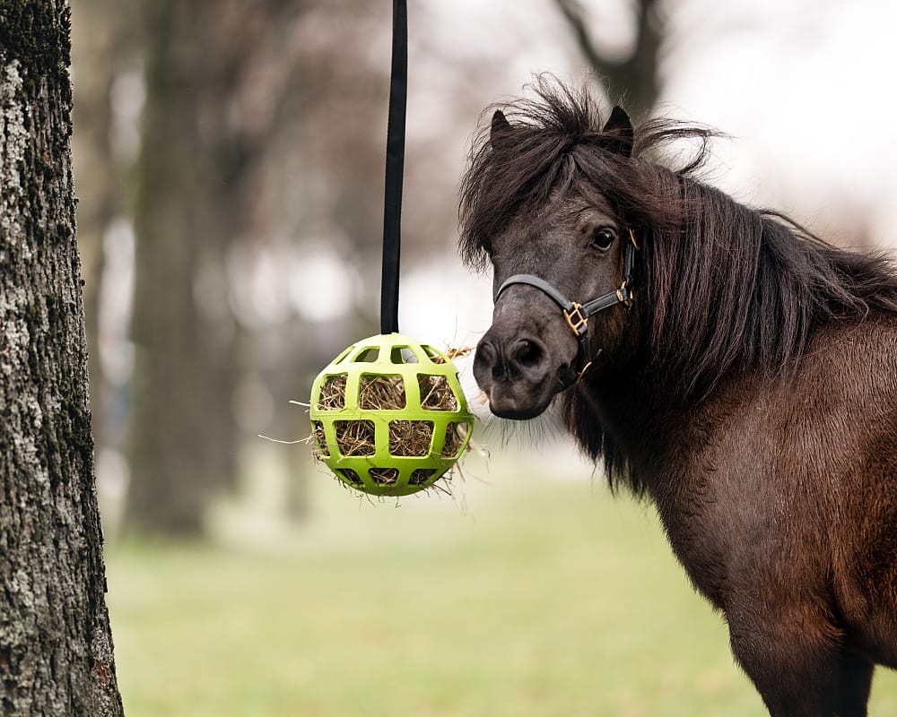 Excellent Hay Slow Feeder Fun and Flex Groen 22 cm