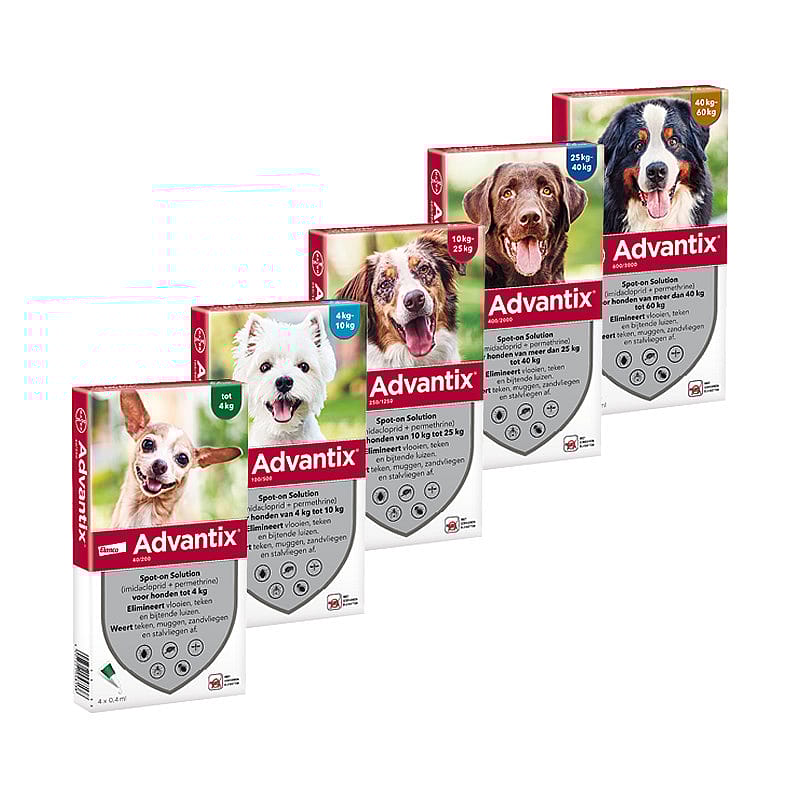 Advantix Spot-on Hond 6 pipetten - 40 - 60 kg - 600/3000
