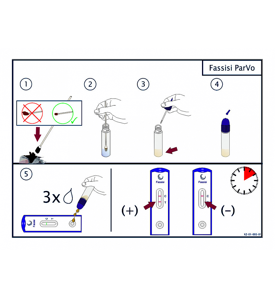 Fassisi Parvo Ontlasting Sneltest Hond Kat