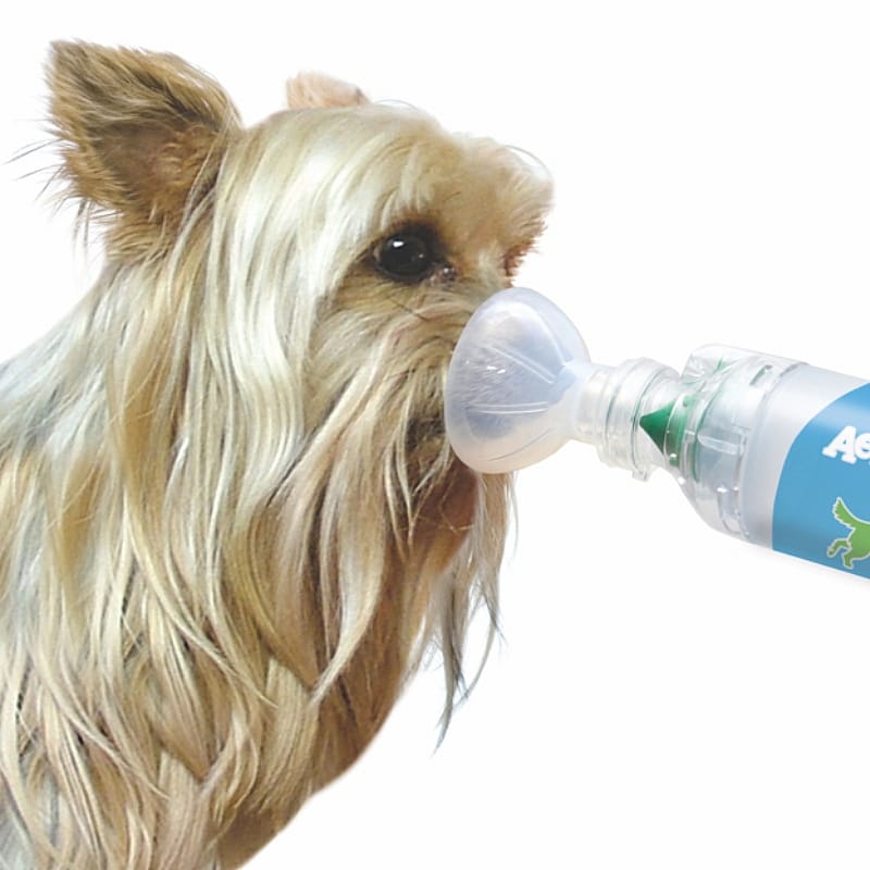 AeroDawg Inhalatiesysteem Pufjes Hond Klein