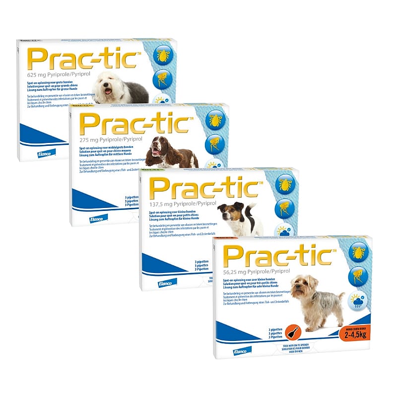 Prac-tic Hond Hond 22 tot 50 kg - 3 pipetten