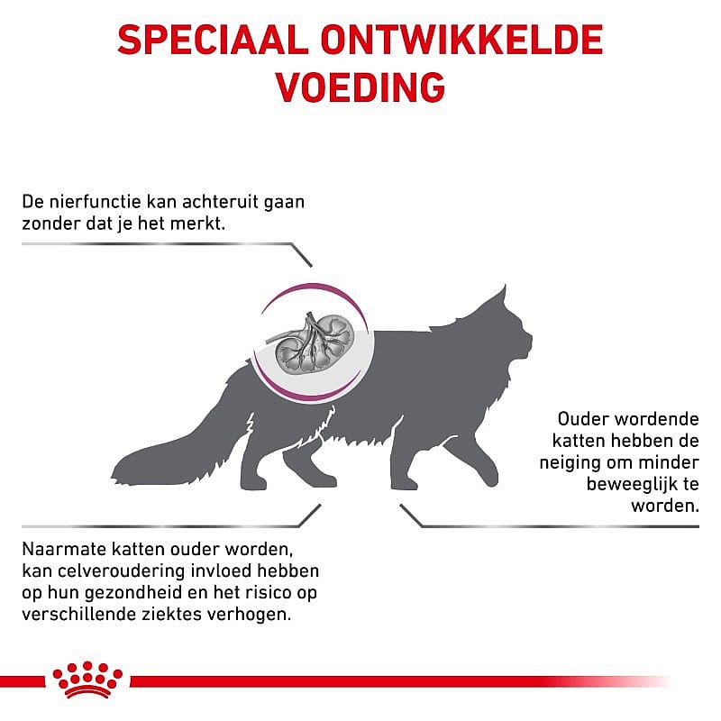 Royal Canin Early Renal Kat 1.5 kg