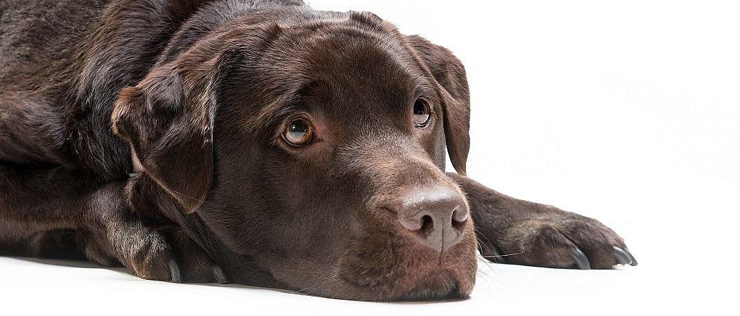 1190787dd94a7f68947115cc7cd0c61f