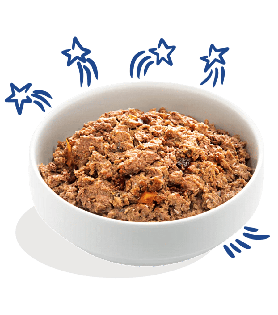 Edgard & Cooper Adult Hondenvoer Blikjes Zalm en Kalkoen 6 x 400 gram