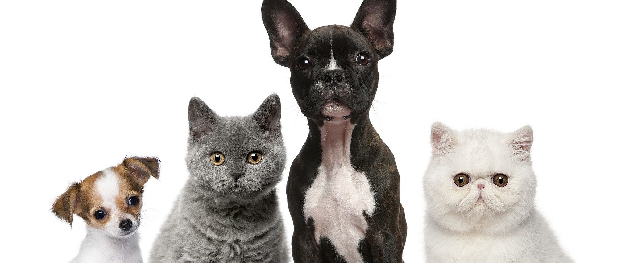 5b3aeba86508d1a82278cdf8e49feb0c