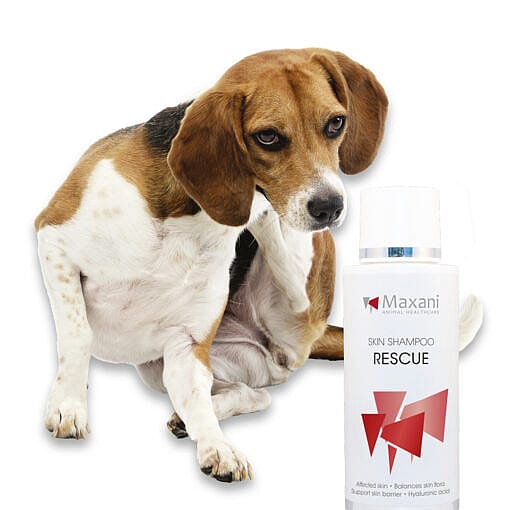 Maxani Rescue Shampoo Hond Paard 200 ml