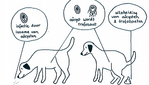 0eb96b437ef0fe98c486dfa04560a91d