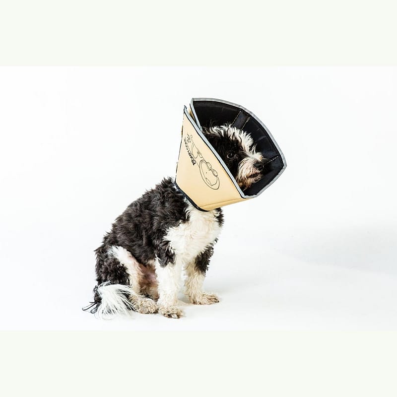 Comfy Cone Hondenkraag Medium - Kaki