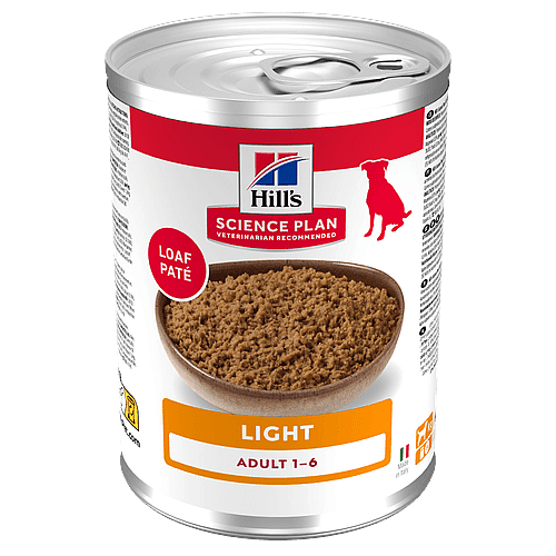 voer, konijn, voerbak, licht, zetpot