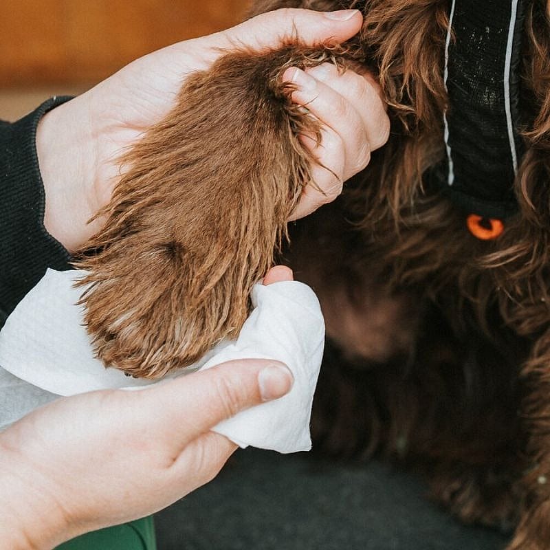 Beco BAMBOO Dog Wipes Travel 20 pack Hond Unscented