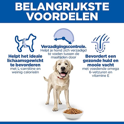 hond, voer, hondenvoer, bonen, beker