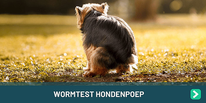 ec2b88db4d59d7ca53c4db09fbb18406