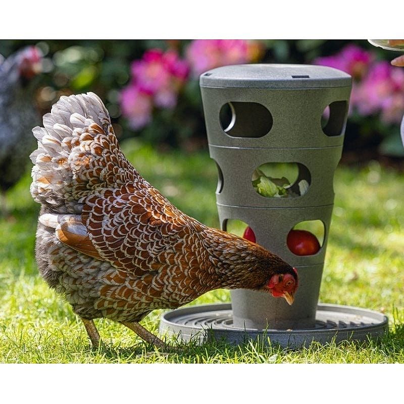 kriel, kippengereedschap, tuinbedrijf, gieter, kleurig