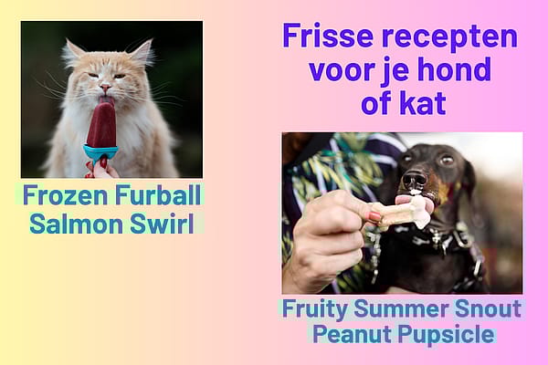 Zelf_honden-_of_kattenijsjes_maken_Probeer_deze_frisse_recepten_voor_IJsjesdag!_Preview_Image_600x400px