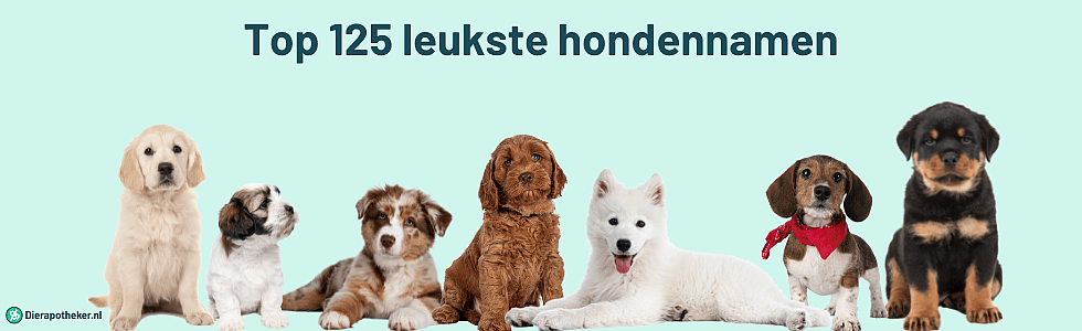 c96f02d4c6d6a43fe5f06c035c25412b