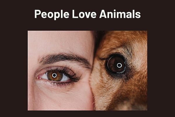 Humanisering van huisdieren meer dan alleen een trend preview 600x400px Sally