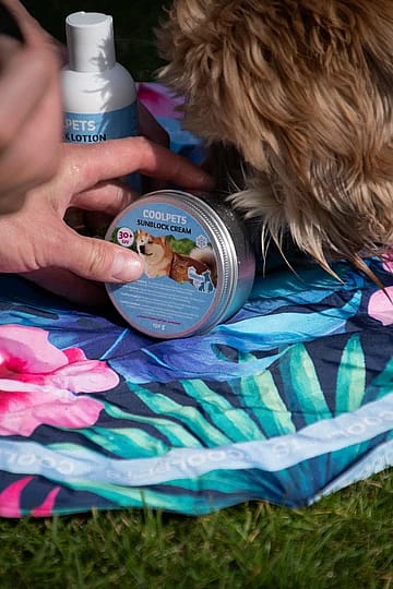 Coolpets Zonnebrand Sunblock Creme Hond 150 gram
