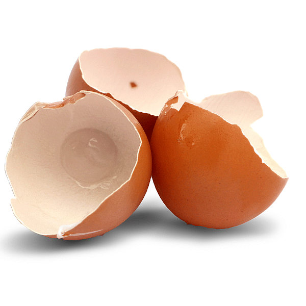 Movoflex Soft Chews Gewrichten Hond