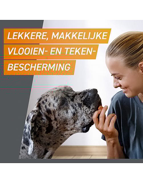 Frontpro Vlo Teek Kauwtablet Hond