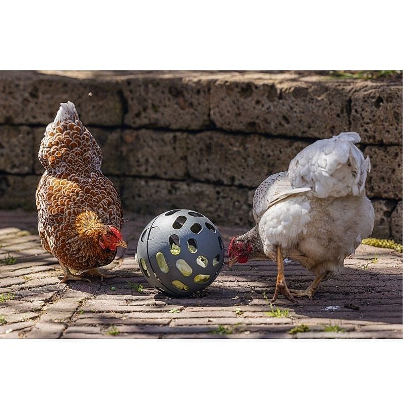 honing, kippen, ballen, kleurbruin, voerbal