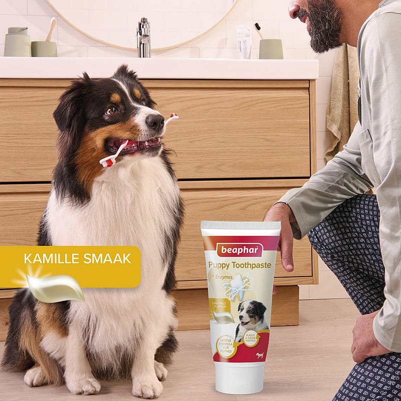 Beaphar Combi-Pack Puppy Tandpasta & Borstel