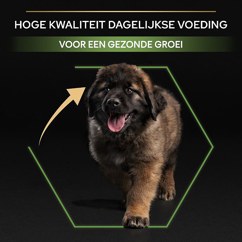 Purina Pro Plan Large Robust Puppy Healthy Start Hondenvoer 12 kg