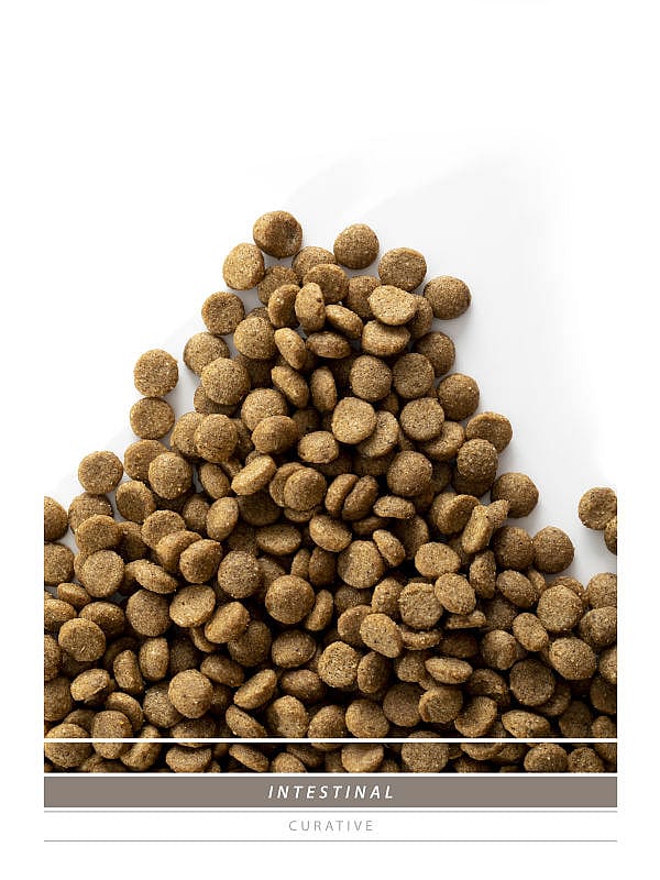 Sanimed Intestinal Kat: Dieetvoer voor Spijsvertering - Hoog Verteerbare Eiwitten - Acute diarree