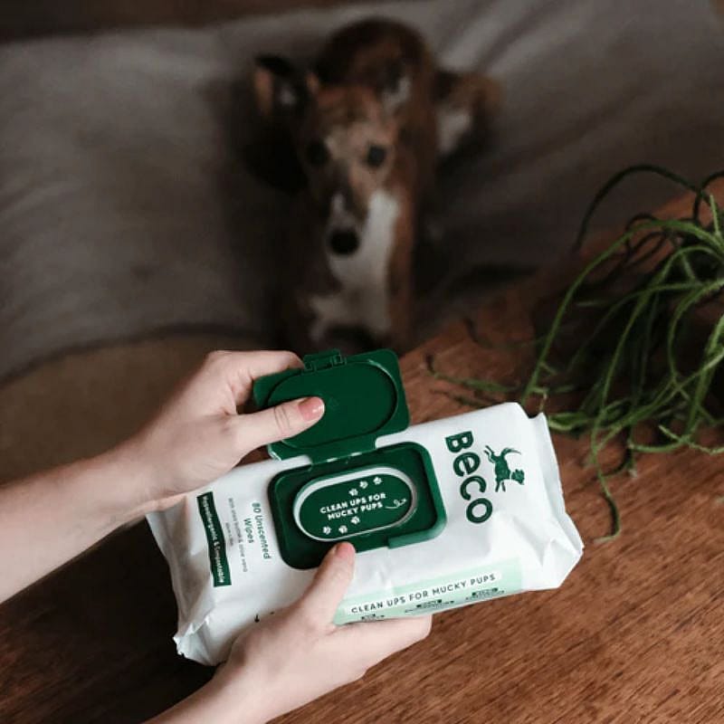 Beco BAMBOO Dog Wipes Hond Unscented