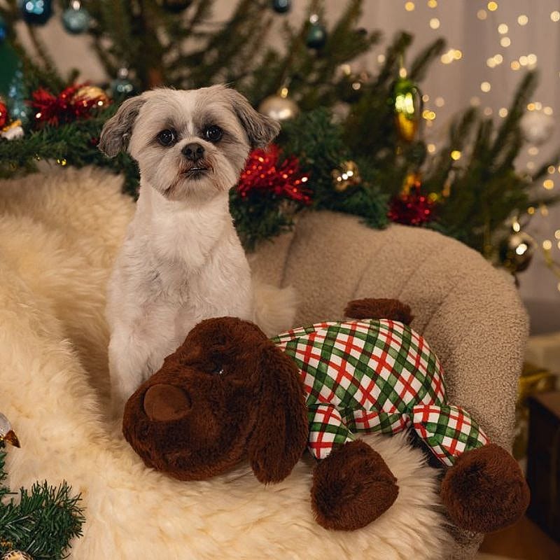 Beeztees XL Knuffel Kerst