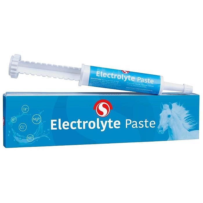 Sectolin Electrolytes Electrolyten Paste Paard 30 ml
