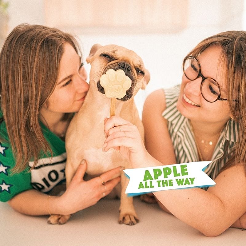 Smoofl Honden IJsmix 160 gram Appel