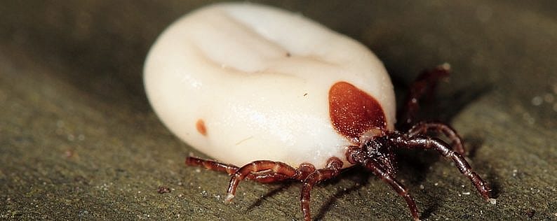 eb9c358932b0837de99be03a828e6ce3