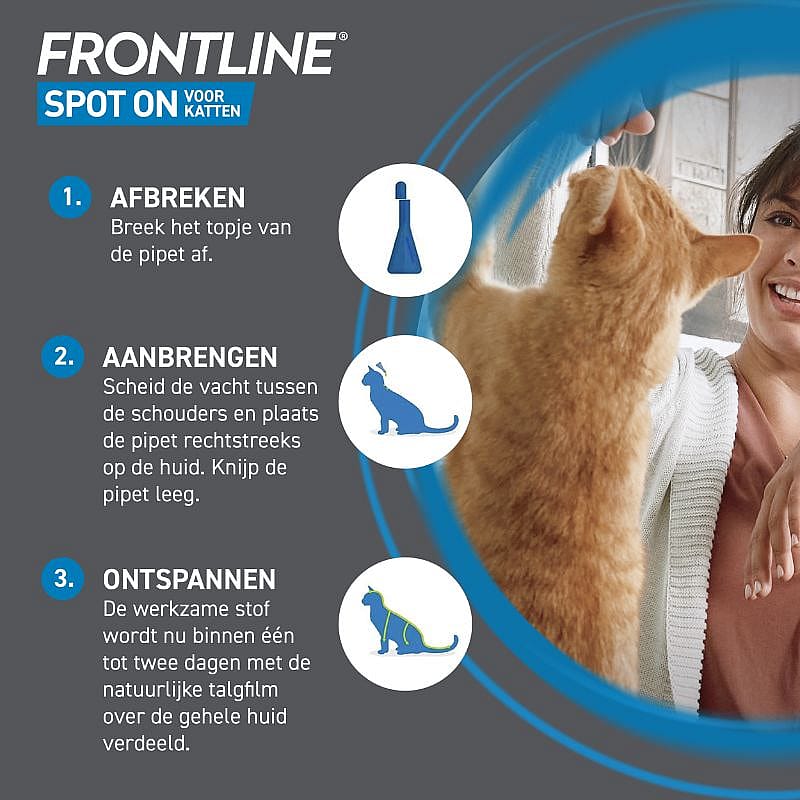 Advertentie, Poster, Kat, Huisdier, Persoon, Advertentie, Poster, Kat, Huisdier, Persoon, Advertentie, Poster, Kat, Huisdier, Persoon, Advertentie, Poster, Kat, Huisdier, Persoon