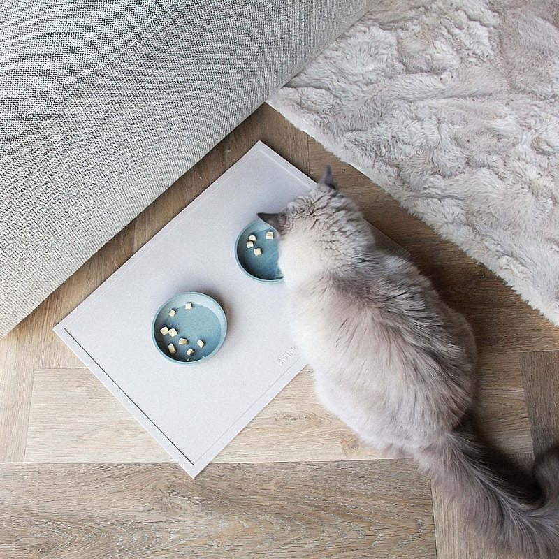 District 70 SERVE Placemat Hond Kat Ice Blue