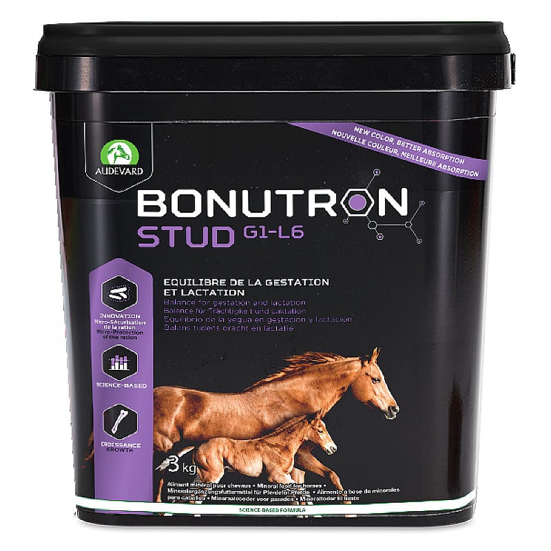 paard,  paardenvoer,  stay-in,  stud,  gip-l6