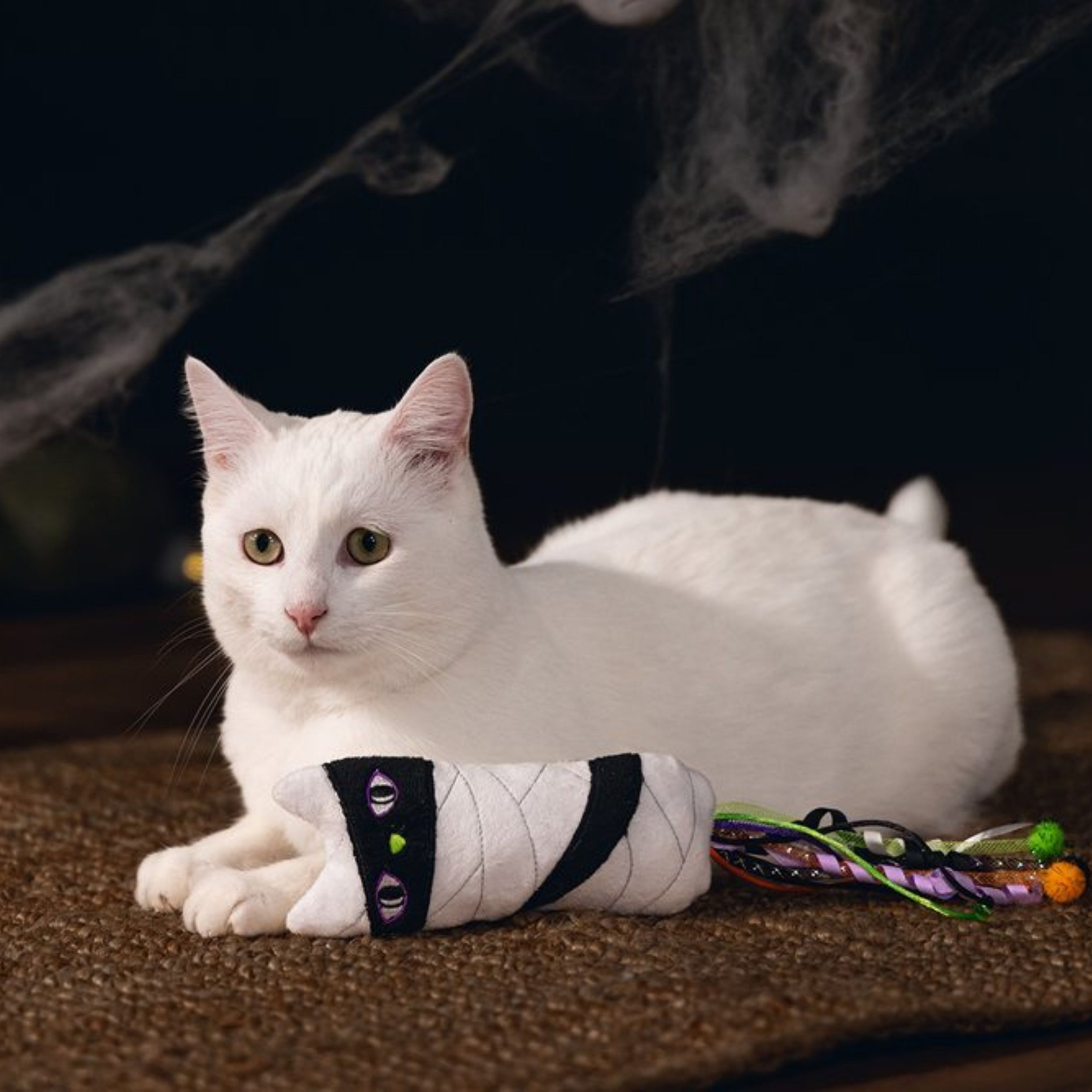 Beeztees Halloween Mummie Speelgoed Pluche Kat